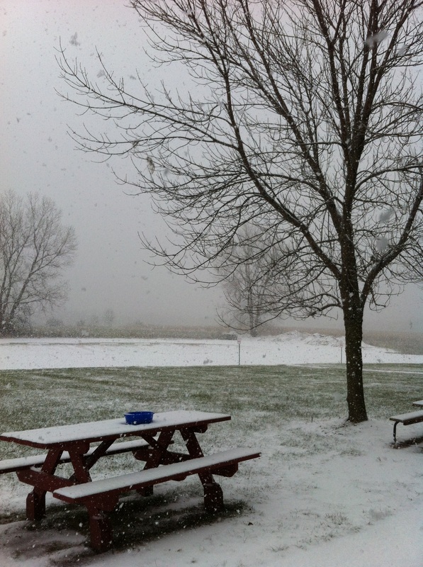 TURN ON IMAGES to see winter snow on picnic tables